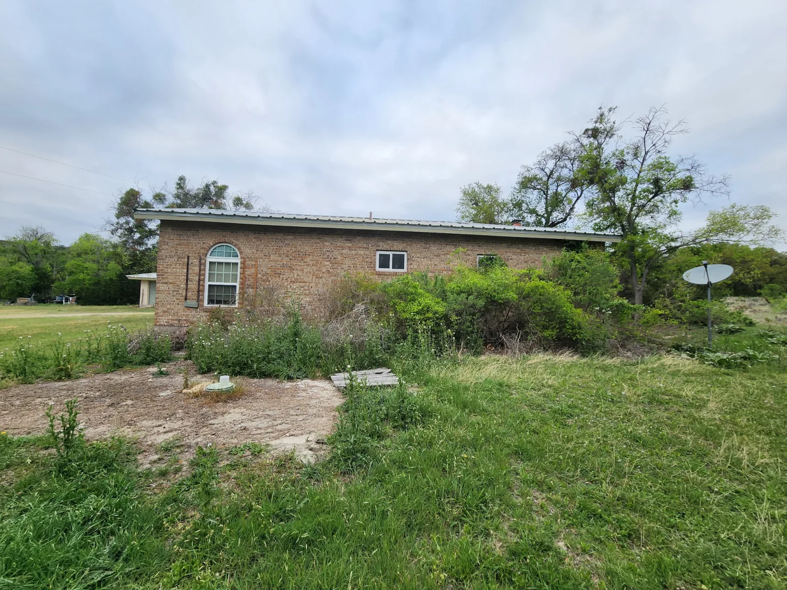 Before: Thorn Brush clearing